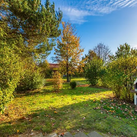 Rugana - Klassik Mit 1 Schlafzimmer Und Terrasse A43 * Dranske